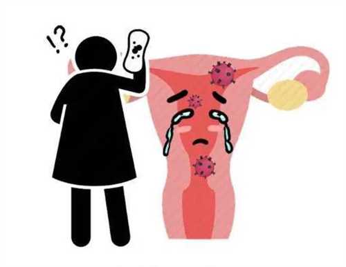 广州第三代试管中心：泰国供卵试管婴儿成功率有多少？怎么提升成功率？