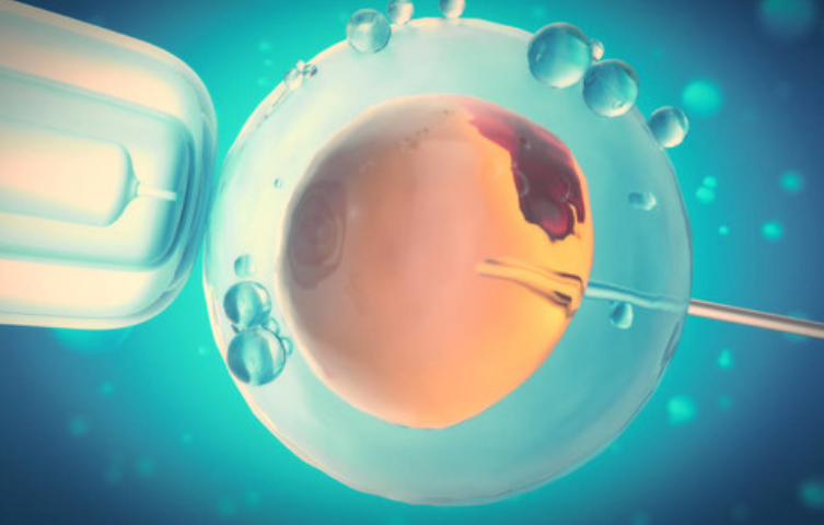 试管婴儿技术在大连医科大学附属第一医院成功应用