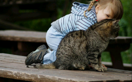 大连三代供卵试管婴儿医院排名？附大连试管成功率明细？