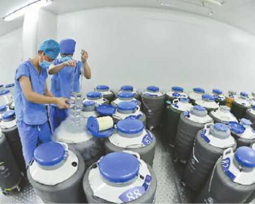 大连哪个医生做试管厉害