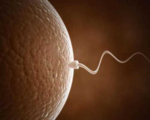 大连第三代试管婴儿生男孩靠谱吗？