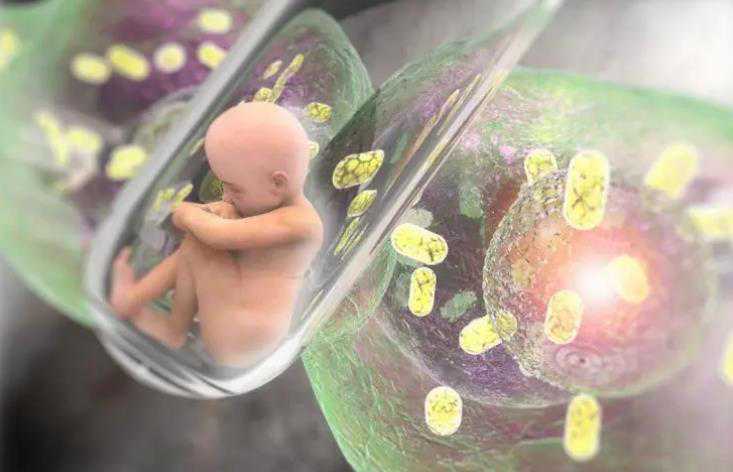 大连地区公立医院资质认证的移民亲子鉴定服务