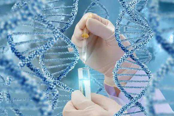 大连有没有可以做第三代试管婴儿的医院？