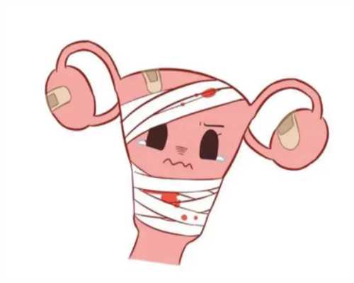 大连三代供卵试管婴儿医院排名？附大连各医院试管婴儿成功率明细？