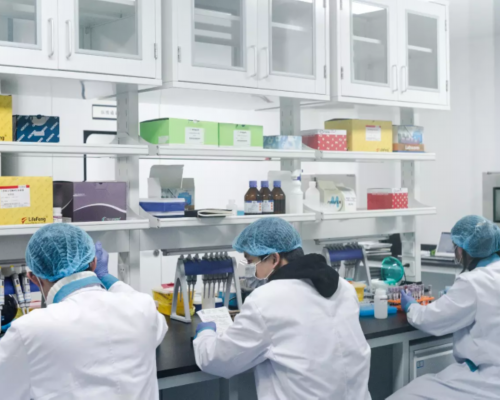 香港验血准确率达到多少？为你总结2024我的成功,香港验血之前有流产准吗