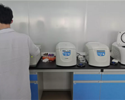 香港验血鉴定男女一般收费多少钱_这里有您想要,香港验血测男女国内有中介吗