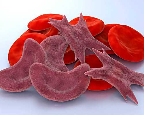 香港查血验男女准不准有什么要求,需要注意,香港验血要寄几管血