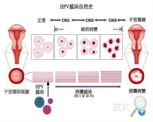 香港dna验性别hkv服务机构,需求预备什么资料,邮寄香港验血被骗