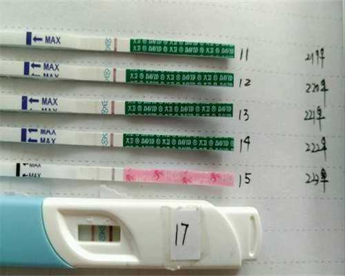 香港验血邮寄地址,几个月检查胎儿性别