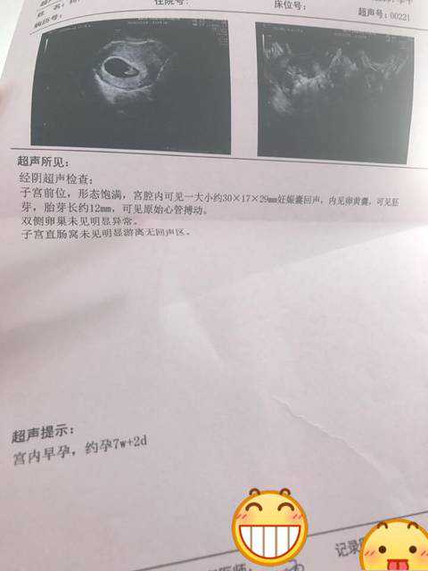 香港验血结果报告怎么看的,香港验血测性别-香港验血一站式服务