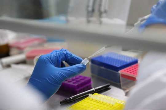 香港检测性别准确_这个机构准父母看过来，包准,香港验血检查男女的费用