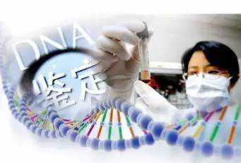 香港抽血DNA验男女准确率高吗（准确率和费用是,香港的去香港验血测男女