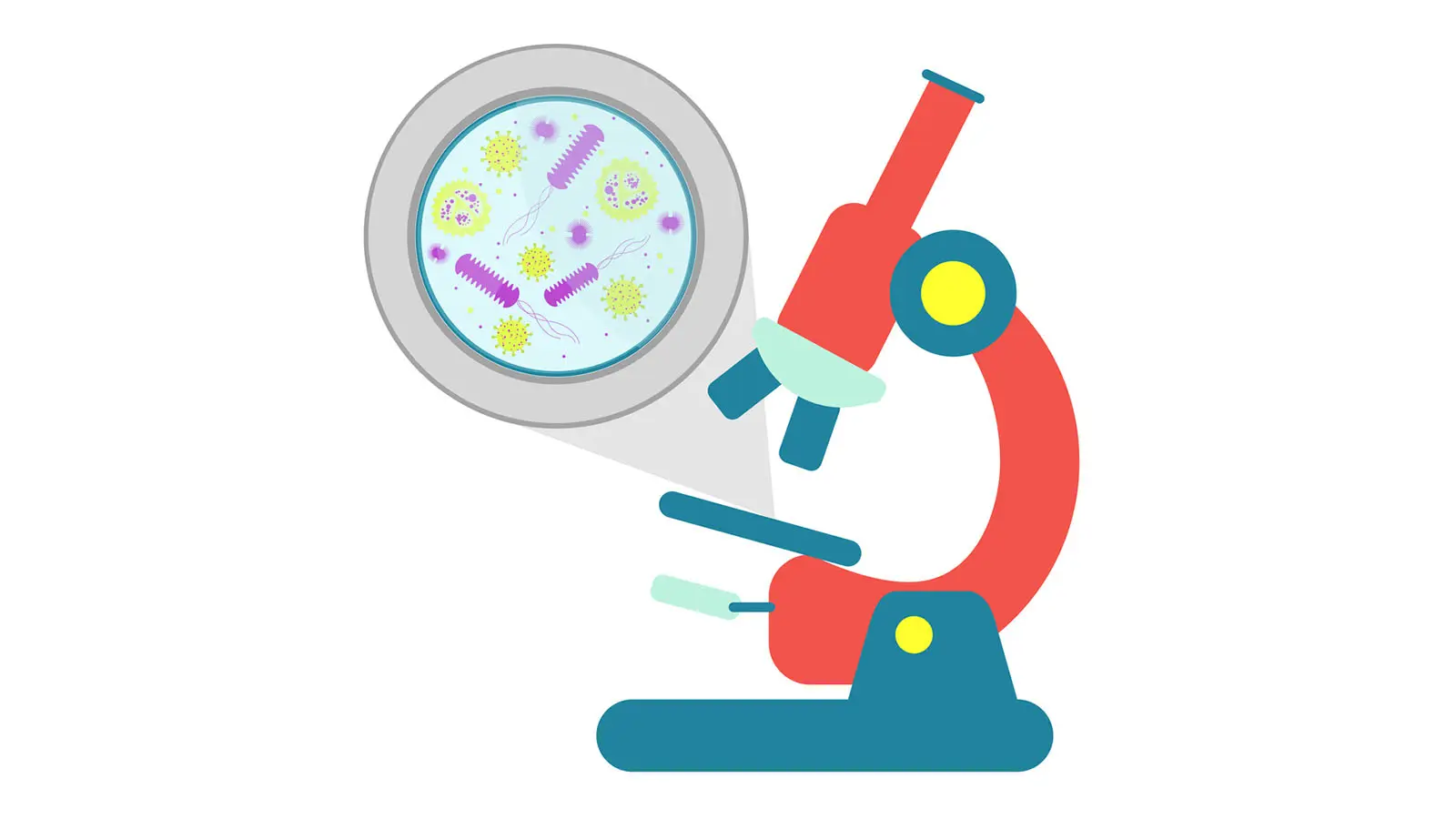 提醒:香港哪家医院可以检测性别—权威机构的官,香港找中介验血准吗
