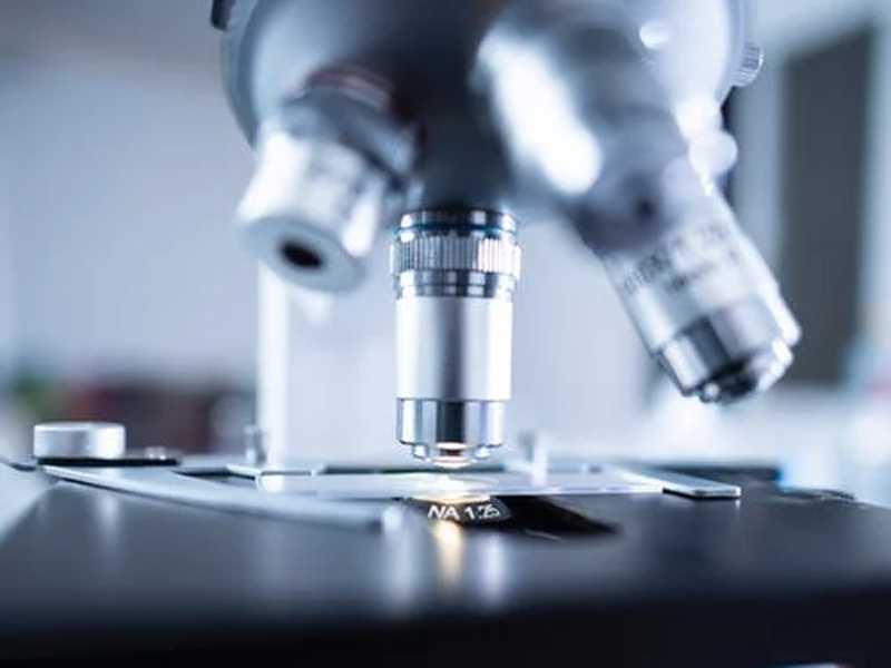 香港验血15周准确率高吗,怀孕几天验血能查出来