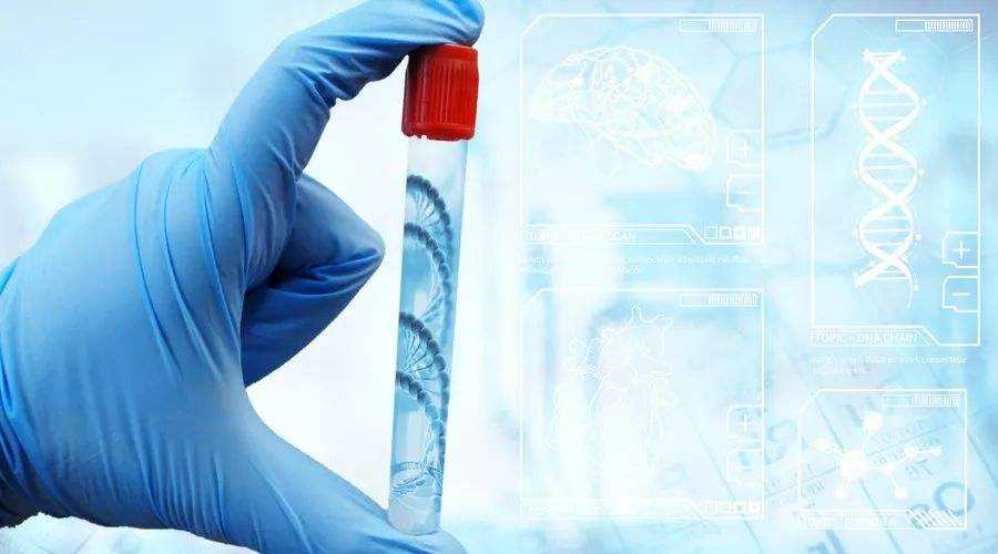 香港验血鉴定多久出结果,验血查胎儿性别有错误的吗