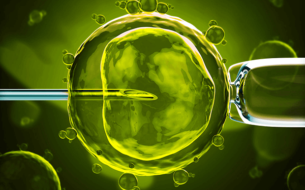 试管婴儿百科|第三代试管婴儿移植技术过程中会出现空囊吗?