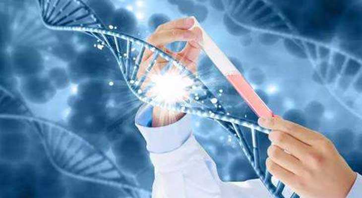 大连试管婴儿价格多少?成功率高不高