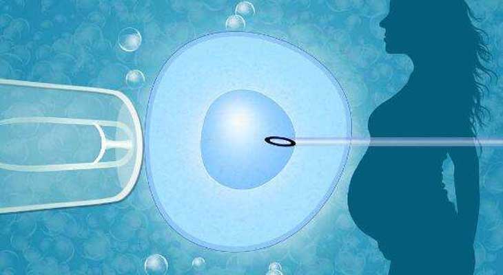 大连试管婴儿价格多少?成功率高不高