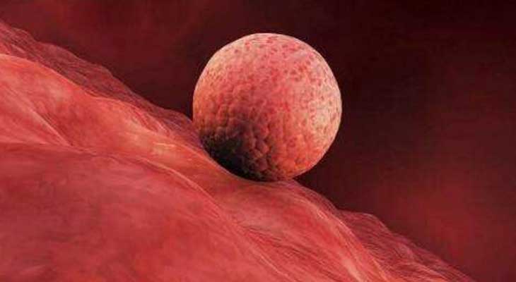 大连试管婴儿价格多少?成功率高不高