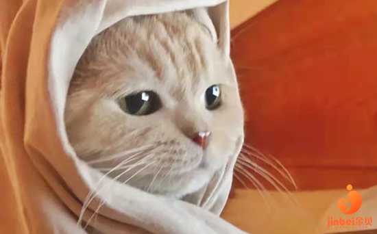 大连三代试管婴儿怎么样？试管成功率高吗？