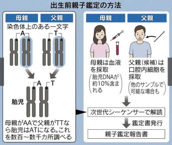 香港验血测男女多少钱？让亲历者用事实来讲述真相,孕16周可以香港验血吗
