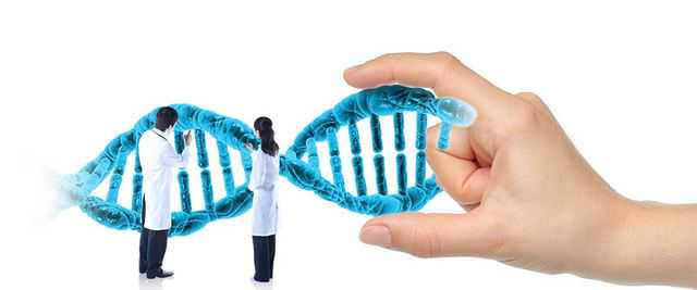 七周验血查男女准吗，需求满意哪些要求,怀孕中期去香港验血准吗